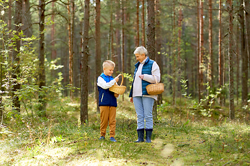 Image showing grandmother and grandson with mushrooms in forest