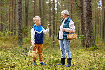 Image showing grandmother and grandson with mushrooms in forest