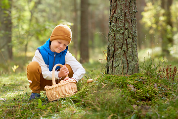 Image showing happy boy with basket picking mushrooms in forest