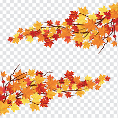 Image showing Maple leaves on transparency grid