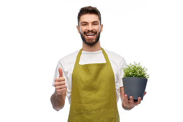 Image showing happy male gardener with flower showing thumbs up