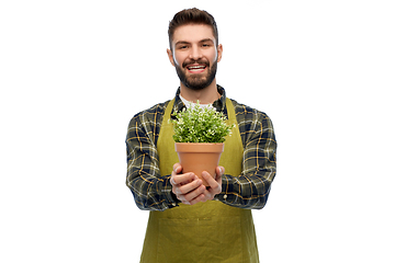 Image showing happy male gardener or farmer with flower in pot