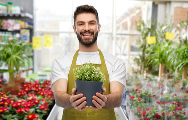 Image showing smiling male gardener with flower in pot at shop