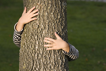 Image showing Huging a tree