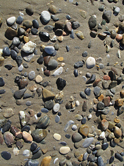 Image showing Wet different sea pebbles on the sandy beach