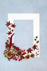 Image showing Autumn Leaves and Flowers Background Border Design