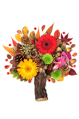 Image showing Colourful Autumn and Thanksgiving Abstract Tree Design