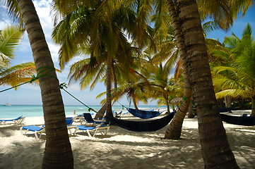 Image showing Hammocks Tropical beach. The Dominican Republic, Saona Island