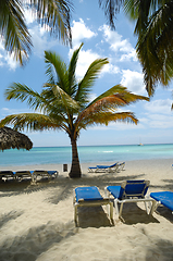 Image showing Tropical beach. The Dominican Republic, Saona Island