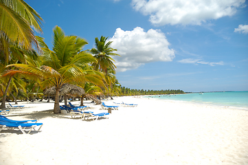 Image showing Tropical beach. The Dominican Republic, Saona Island