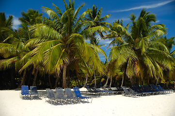 Image showing Tropical beach. The Dominican Republic, Saona Island