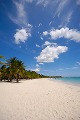 Image showing Tropical beach. The Dominican Republic, Saona Island