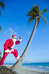 Image showing Santa Claus is on vacation on a tropical beach.