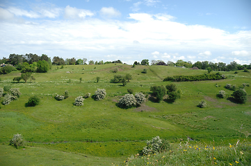 Image showing Green Landscape