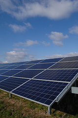 Image showing Rows of solar panels