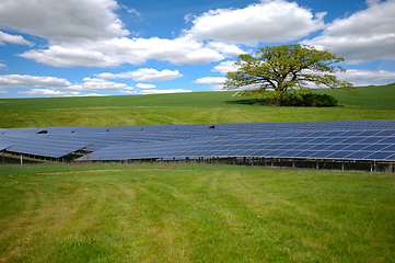 Image showing Rows of solar panels and green nature