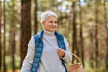 Image showing senior woman picking mushrooms in autumn forest