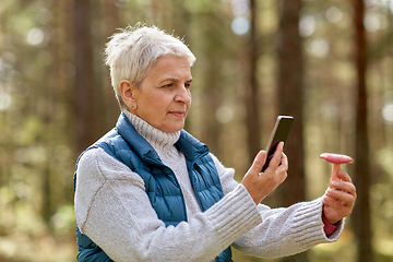 Image showing senior woman using smartphone to identify mushroom