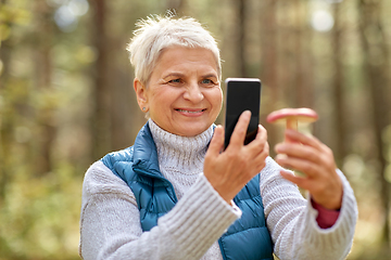 Image showing senior woman using smartphone to identify mushroom