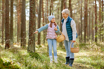 Image showing grandmother and granddaughter picking mushrooms