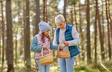 Image showing grandmother and granddaughter picking mushrooms