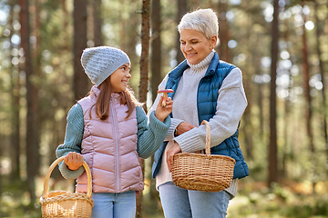 Image showing grandmother and granddaughter picking mushrooms