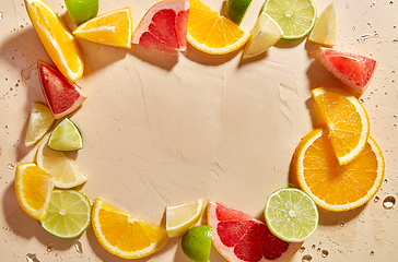 Image showing frame of slices of different citrus fruits