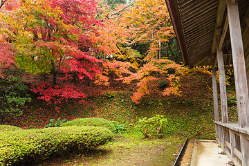 Image showing Japanese tea house in Autumn