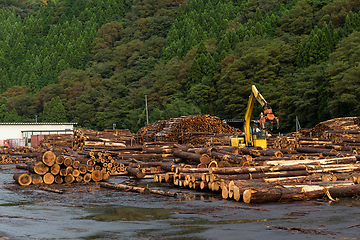 Image showing Lumber Yard