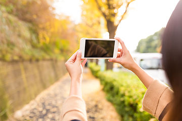 Image showing Woman taking photo with cellphone with the beautiful ginkgo tree