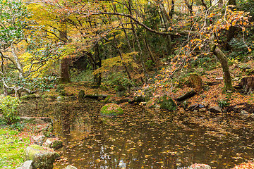 Image showing Autumn Japanese temple