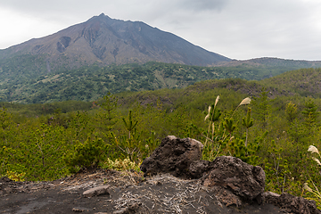 Image showing Sakurajima