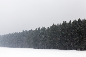 Image showing winter landscape