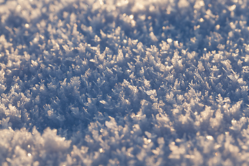 Image showing After snowfall