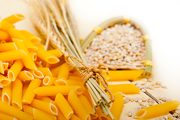 Image showing Italian pasta penne with wheat