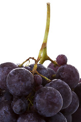 Image showing Grapes