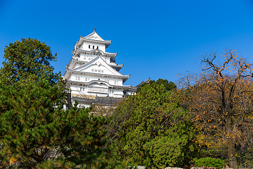 Image showing Himeji castle at autumn in Japan