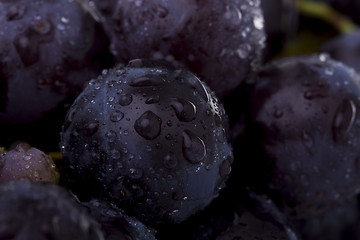 Image showing Grapes