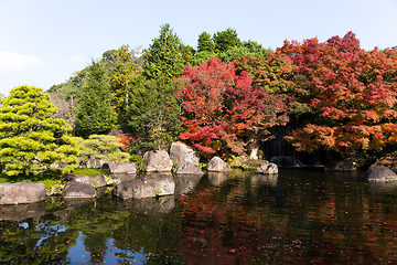 Image showing Autumn Kokoen Garden