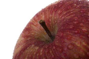 Image showing apple detail