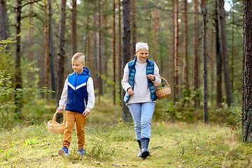 Image showing grandmother and grandson with mushrooms in forest