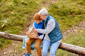 Image showing grandmother and grandson with mushrooms in forest