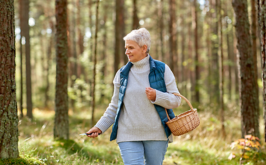 Image showing senior woman picking mushrooms in autumn forest