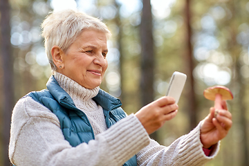 Image showing senior woman using smartphone to identify mushroom