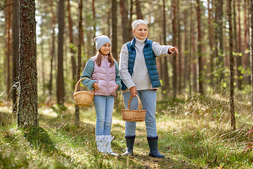 Image showing grandmother and granddaughter picking mushrooms