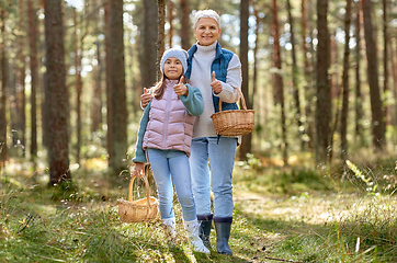 Image showing grandmother and granddaughter picking mushrooms