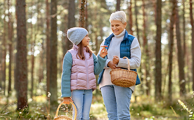 Image showing grandmother and granddaughter picking mushrooms