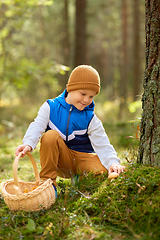 Image showing happy boy with basket picking mushrooms in forest