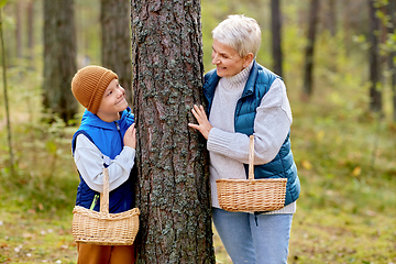 Image showing grandmother and grandson with mushrooms in forest