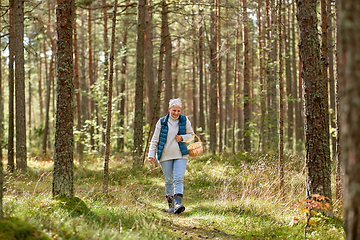 Image showing senior woman picking mushrooms in autumn forest